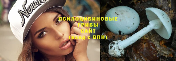 дмт Алексеевка