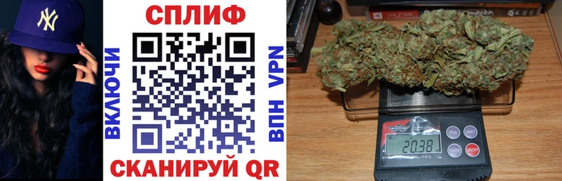 KRAKEN как зайти  где найти   Лермонтов  Канабис сатива 